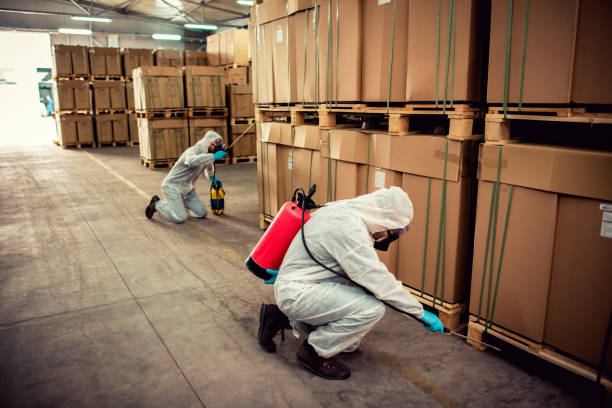 Best Rat Extermination Near Me  in East Sonora, CA