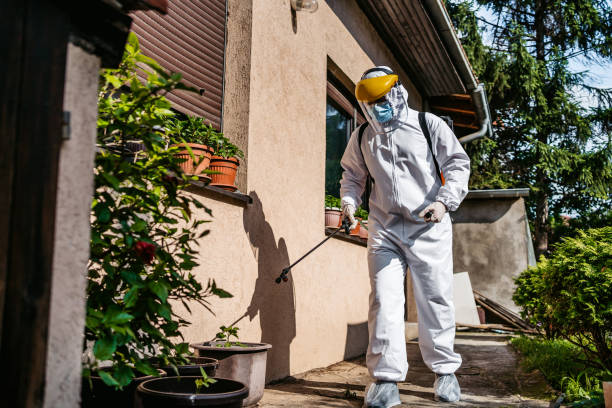 Best Pest Prevention Services  in East Sonora, CA