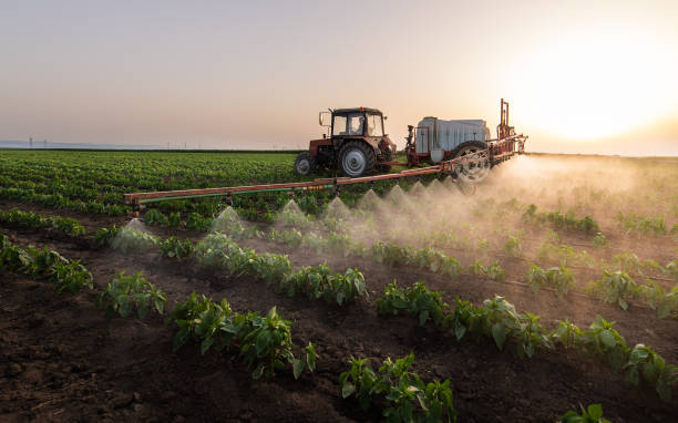 Best Pest Control Near Me  in East Sonora, CA