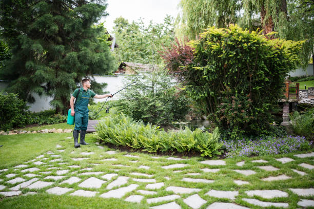 Best Emergency Pest Control  in East Sonora, CA