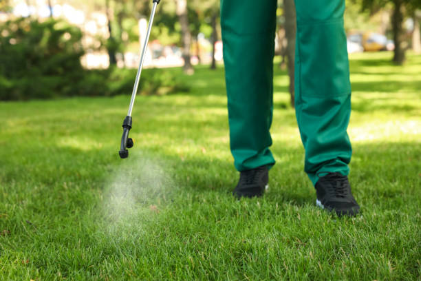 Best Best Pest Control Companies  in East Sonora, CA
