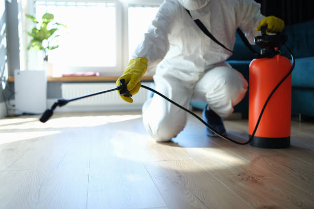 Best Pest Control Near Me in East Sonora, CA