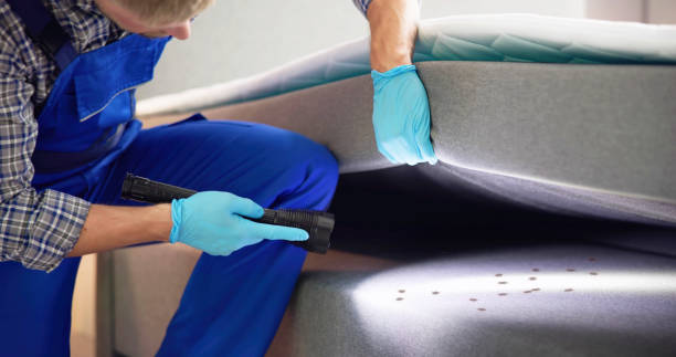 Best Local Pest Control Services  in East Sonora, CA
