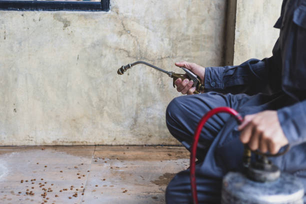 Best Mosquito Control Services  in East Sonora, CA